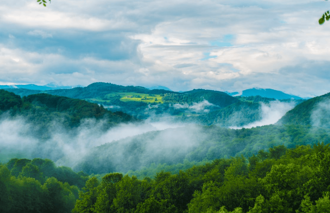 Hidden Wonders We Never Notice